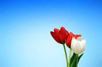 在线DDOS压力测试网页端