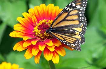 免费DDOS攻击测试工具