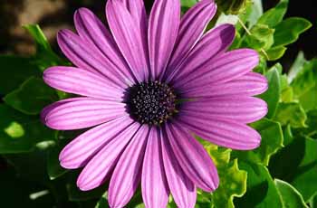 在线DDOS压力测试网页端