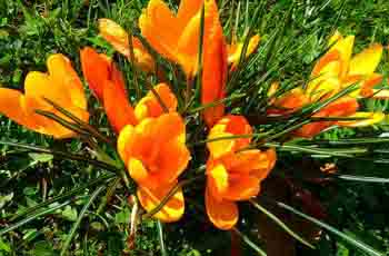 智能化升级改造的服务器攻击软件