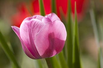 ddos攻击防御手段