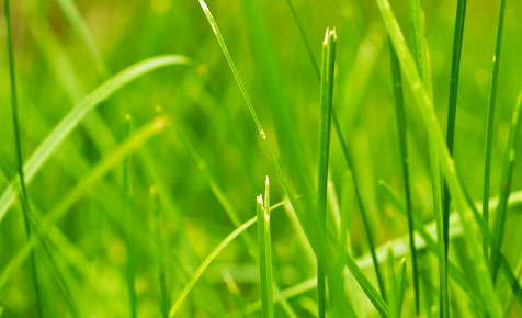 自动发卡秒发的网页攻击平台